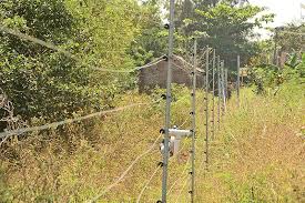 "அம்மம்மாவுடன் சென்ற இடத்தில் நேர்ந்த கோரம்!" - கழுத்தில் சிக்கிய மின்சார வேலி: சிறுவன் பலியான சம்பவத்தில் காணி உரிமையாளர் அதிரடி கைது.